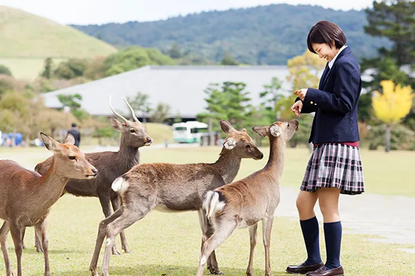 修学旅行・研修旅行