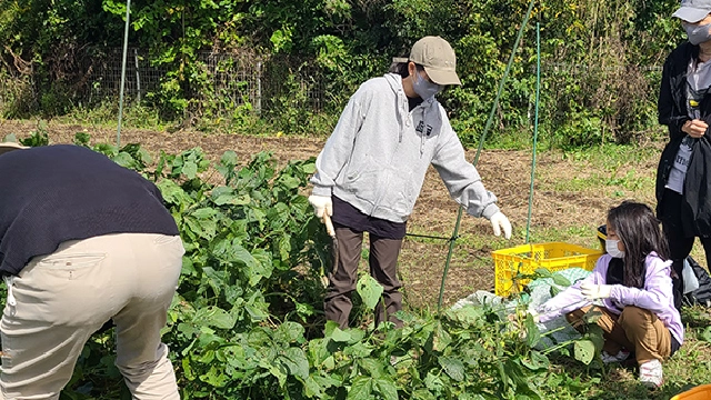 観光コンテンツ開発